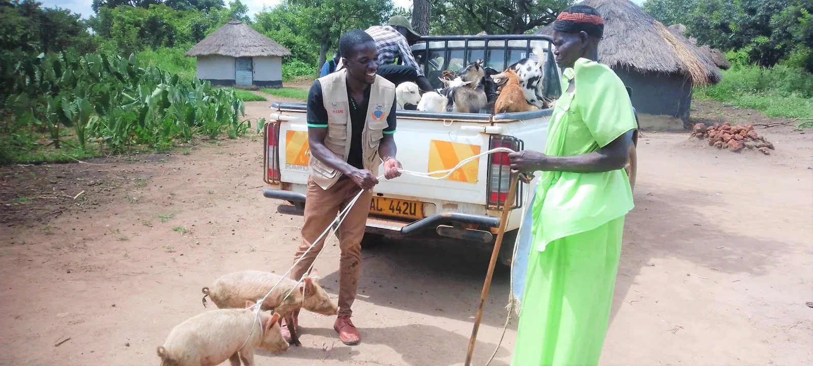 Pig restocking handover to a vulnerable household